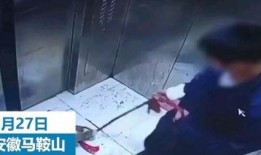 韩国男孩爆料视频大全在线观看,揭秘真实校园生活